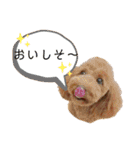 トイプーマモの戯言（個別スタンプ：17）