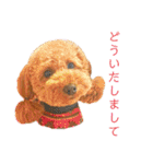 トイプーマモの戯言（個別スタンプ：19）