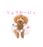 トイプーマモの戯言（個別スタンプ：39）