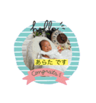 あっぱれ！あー様（個別スタンプ：16）