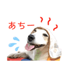 JACK3（個別スタンプ：2）
