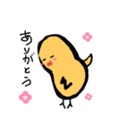痩せたいチキン（個別スタンプ：8）