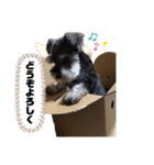 べいびーうにすた。（個別スタンプ：2）