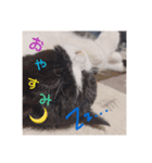 シロナクロナ3（個別スタンプ：2）