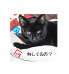 シロナクロナ3（個別スタンプ：3）