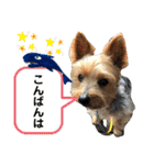 にこと一緒（個別スタンプ：3）