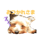 にこと一緒（個別スタンプ：8）