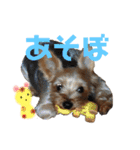 にこと一緒（個別スタンプ：12）
