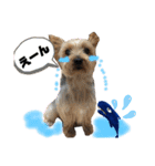 にこと一緒（個別スタンプ：19）