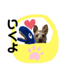 にこと一緒（個別スタンプ：33）