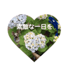 にこと一緒（個別スタンプ：39）