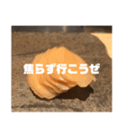 やまざきゆうた3（個別スタンプ：1）