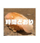 やまざきゆうた3（個別スタンプ：9）