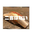 やまざきゆうた3（個別スタンプ：13）