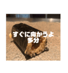 やまざきゆうた3（個別スタンプ：18）