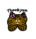 キジトラ猫 by パセリ（個別スタンプ：1）