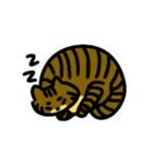 キジトラ猫 by パセリ（個別スタンプ：2）