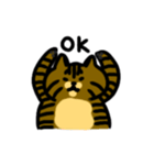キジトラ猫 by パセリ（個別スタンプ：6）