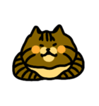 キジトラ猫 by パセリ（個別スタンプ：10）