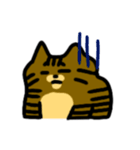 キジトラ猫 by パセリ（個別スタンプ：11）