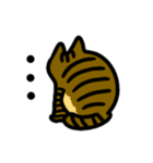 キジトラ猫 by パセリ（個別スタンプ：13）