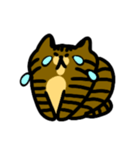 キジトラ猫 by パセリ（個別スタンプ：14）
