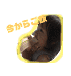 怜花のスタンプ2（個別スタンプ：3）