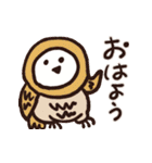 フクロウ、ときどき、ミミズクもふもふ毎日（個別スタンプ：13）