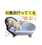 ショコラン＆シフォン 2（個別スタンプ：33）