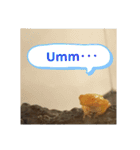 幸運の黄色いカエル yellow Frog（個別スタンプ：18）