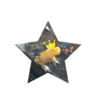 幸運の黄色いカエル yellow Frog（個別スタンプ：19）