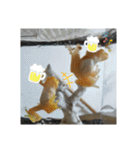 幸運の黄色いカエル yellow Frog（個別スタンプ：21）