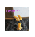 幸運の黄色いカエル yellow Frog（個別スタンプ：24）