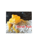 幸運の黄色いカエル yellow Frog（個別スタンプ：29）