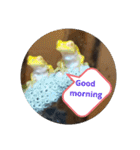 幸運の黄色いカエル yellow Frog（個別スタンプ：32）