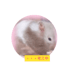小麦のお部屋（個別スタンプ：4）