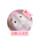 小麦のお部屋（個別スタンプ：7）