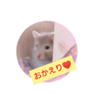 小麦のお部屋（個別スタンプ：12）