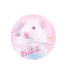 小麦のお部屋（個別スタンプ：14）