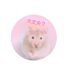 小麦のお部屋（個別スタンプ：15）