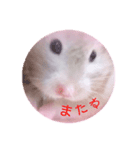 小麦のお部屋（個別スタンプ：16）