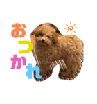 『まめすけ』⑴（個別スタンプ：9）