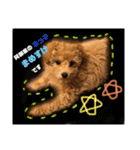 『まめすけ』⑴（個別スタンプ：12）