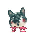 たまごねこねこ3（個別スタンプ：7）