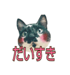 たまごねこねこ3（個別スタンプ：8）