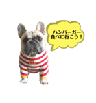 ☆ぽん太の気持ち☆➁（個別スタンプ：5）