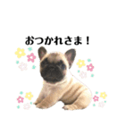 ☆ぽん太の気持ち☆➁（個別スタンプ：16）