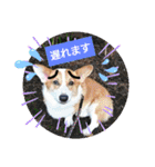 コーギー犬メルのスタンプ第二段（個別スタンプ：6）