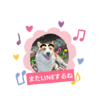 コーギー犬メルのスタンプ第二段（個別スタンプ：11）
