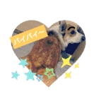 コーギー犬メルのスタンプ第二段（個別スタンプ：12）